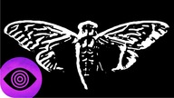 Cicada 3301: Jedna z największych tajemnic Internetu?