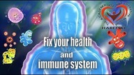 Fix Your Health and Immune System and Your Body Will Overcome all the Diseases.