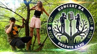 Koncert Na Drzewie Rapu | Pal Hajs TV