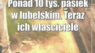 Ponad 10 tys.  pasiek w lubelskim.  Teraz ich właściciele będą zarabiać więcej