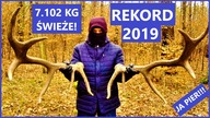 Rekord Życia, Para 7.10 KG, Pierwsze Świeże Zrzuty 2019