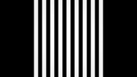 The Black Stripes - Hymn (official video)