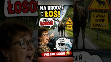 Uwaga kierowcy, dzisiaj na drodze spotkano łososia  #shorts #humor #polskiedrogi