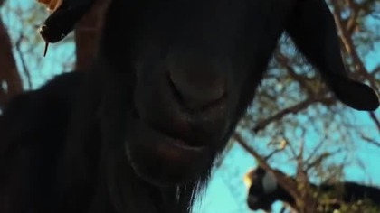 Byłeś już z nami w Maroku? Jeśli jeszcze nie widziałeś pełnego vloga  koniecznie nadr&oacute;b! 
Nasze vlogi to nie typowa turystyka  to bardziej kulisy życia po godzinach: backstage z radia, studia i r&oacute;żnych dziwnych przyg&oacute;d, w kt&oacute;re się wkręcamy. Tym razem padło na Maroko  trochę błądzenia, trochę śmiechu, trochę lokalnego klimatu. 
Wskakuj z nami w ten klimat  może też się powł&oacute;czysz? 
#maroko #vlog #shorts