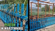 Ogrodzony ogród warzywny i szklarnia
