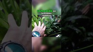 Co można było zobaczyć na weekendzie akwarystycznym ?