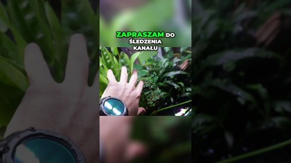 Co można było zobaczyć na weekendzie akwarystycznym ?