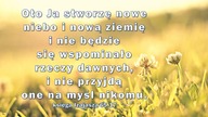 Monika - świadectwo