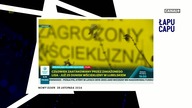 Łapu Capu (29 listopada 2024)