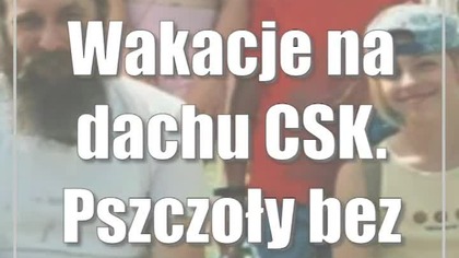 Wakacje na dachu CSK.  Pszczoły bez tajemnic