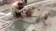 Ataki Monkey człowiek z tasakiem