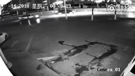 Nominacja na najgorszego złodzieja