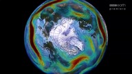 F prognozy 3 Wir polar (BE) [nr 96]