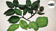 Jak zrobić listki z foamiranu [HOW TO MAKE FOAM LEAVES] Pomysły plastyczne dla każdego