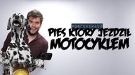 PIES KTÓRY JEŹDZIŁ MOTOCYKLEM | Poszukiwacz #416