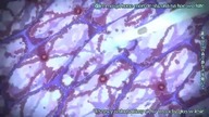 Origin - Spirits of the Past (Intro pl)
