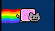 Nian cat