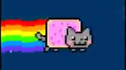 Nian cat
