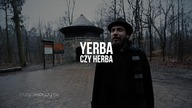 Czy herbata z cytryną w składzie jest szkodliwa? Czy yerba mate można parzyć mlekiem? Czajnikowy.pl