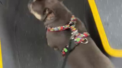 2a4ecfbe-aa0a-46fe-b6d4-0ad8c6f18b88