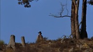 Ned Kelly 1970 lektor pl western