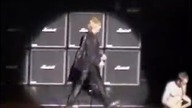 Def Leppard - Animal (Live)