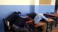 Szybka karma