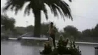 Śmieszne video