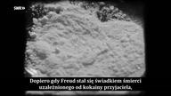 Od kokainy do psychotropów.