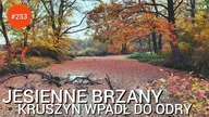 253 JESIENNE BRZANY - KRUSZYN WPADŁ DO ODRY