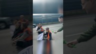 Ostatnie Pokolenie psoci