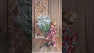 Jeszcze bez ozdób, ale już stoi! #christmas #snow #winter #music #christmasoutfits
