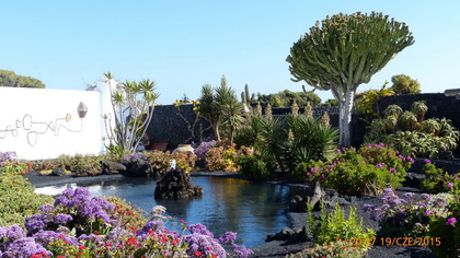 LANZAROTE - Fundacion Cesar Manrique