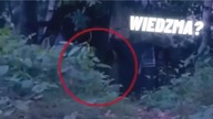 W lesie usłyszał krzyk i nie uwierzysz co to było...