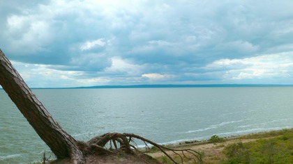 Windy Cliff Overlooking the Sea Wind & Waves for Sleep & Relaxation