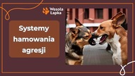 Systemy hamowania agresji