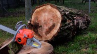 Chainsaw test from the Harder PN5200 market