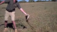 MAN AND BEAST - Part 5