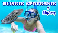 BLISKIE SPOTKANIE Z MĄTWĄ - plaża Varkiza | Grecki Świat Rity #96