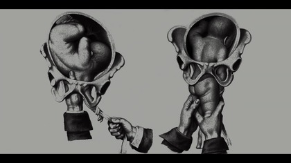 False. Positive. 2021. MULTi. 1080p. HMAX. WEB-DL. x264-KiT