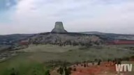 Ancient Giant Silicon-based trees