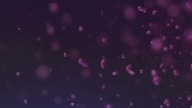 Overdrive (Extended Remix / Visualiser)