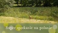 SUPER SPOTKANIE NA POLANIE - Gracjan Roztocki