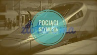 Złota ćma bukszpanowa