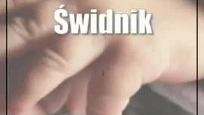 Świdnik: W Świdniku Aleksander i Alicja