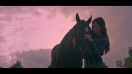 Czarna piękność - Black Beauty (2020) Lektor
