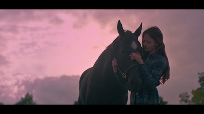 Czarna piękność - Black Beauty (2020) Lektor