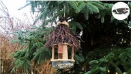 Jak zrobić karmnik z butelki [EASY DIY BIRD HOUSE OUT OF BOTTLE] Pomysły plastyczne dla każdego