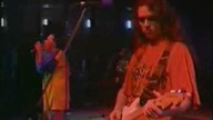 BIG CYC - Shazza moja miłość live !