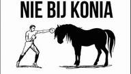 Konie zaniedbane i porzucone przez człowieka